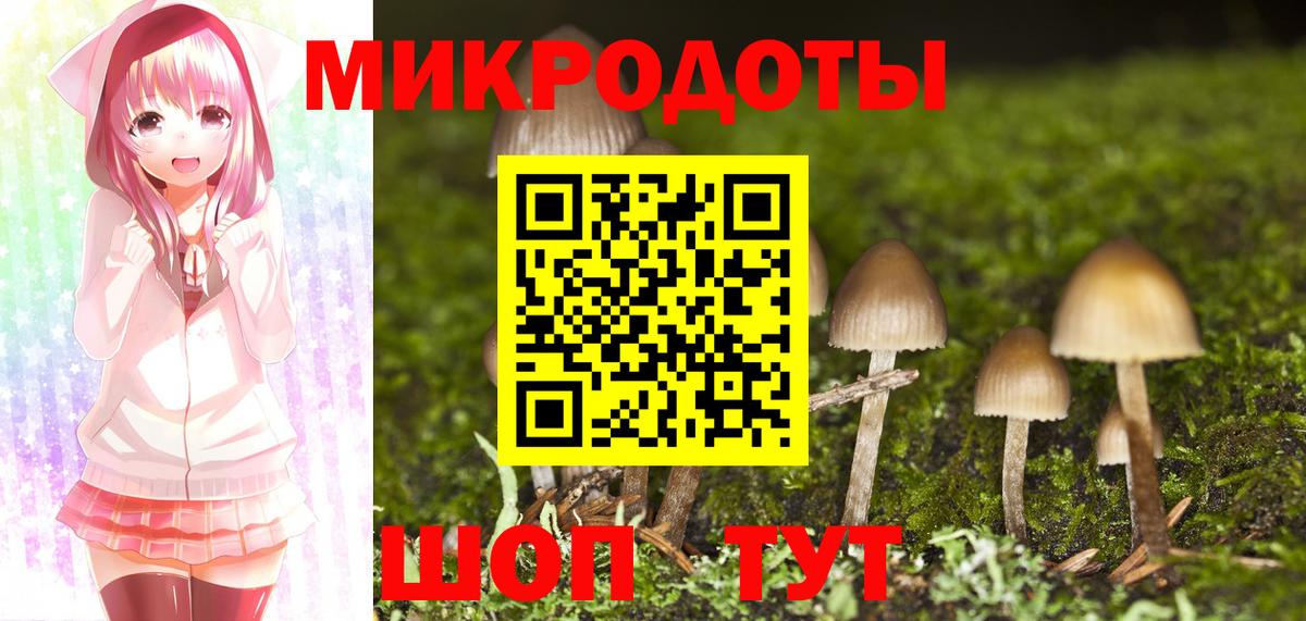 Галлюциногенные грибы мухоморы Кубинка