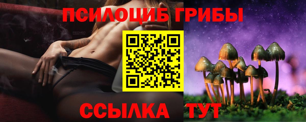 Кубинка  Псилоцибиновые грибы Cubensis  Вход с VPN 